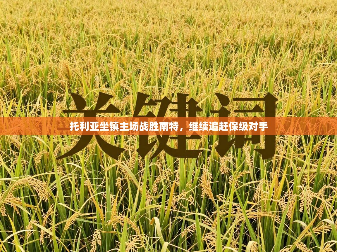 托利亚坐镇主场战胜南特，继续追赶保级对手