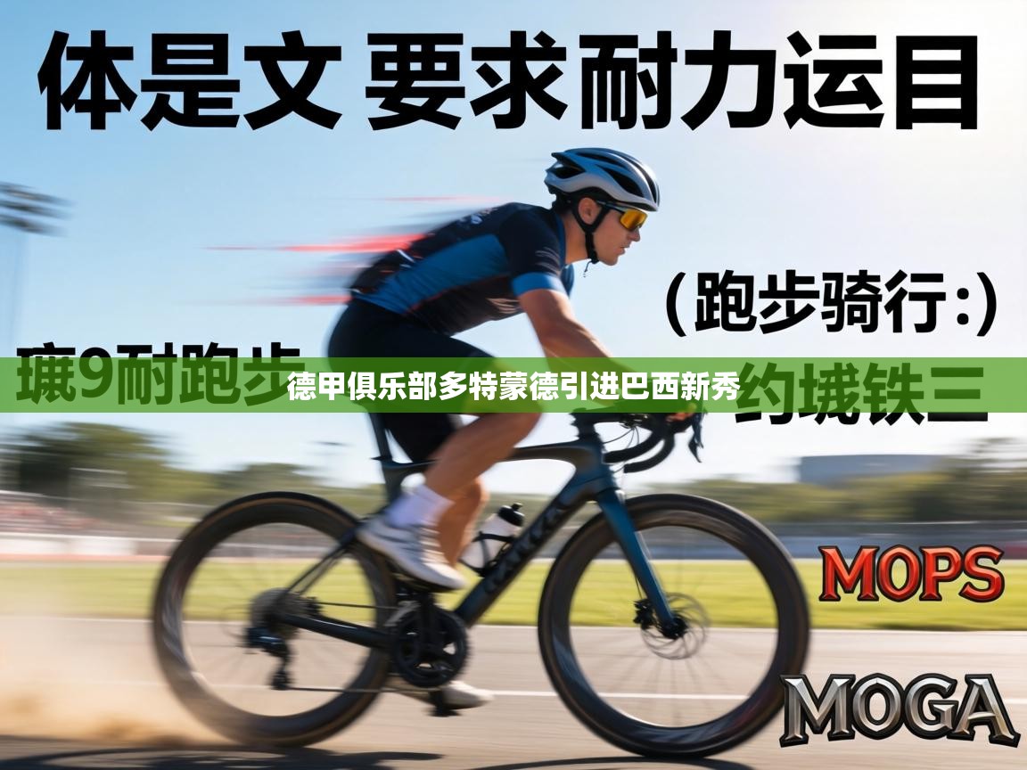 德甲俱乐部多特蒙德引进巴西新秀 第2张